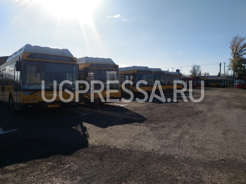 Ижевский перевозчик испытывает нехватку водителей для ростовских маршрутов