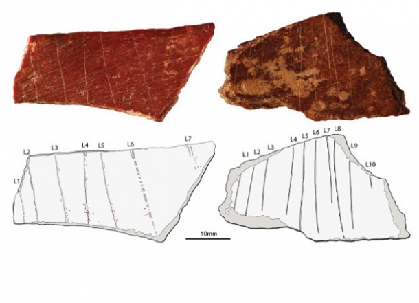 В Китае обнаружили древние рисунки на костях возрастом 125 тысяч лет