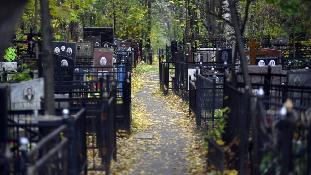 В Подмосковье найдено кладбище жертв разборок Таганской ОПГ