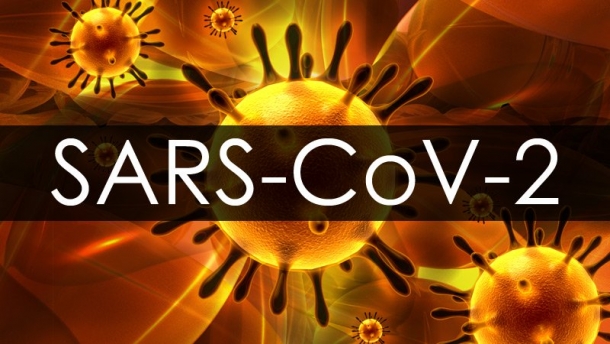Эпидемиолог: более опасная инфекция заменит коронавирус