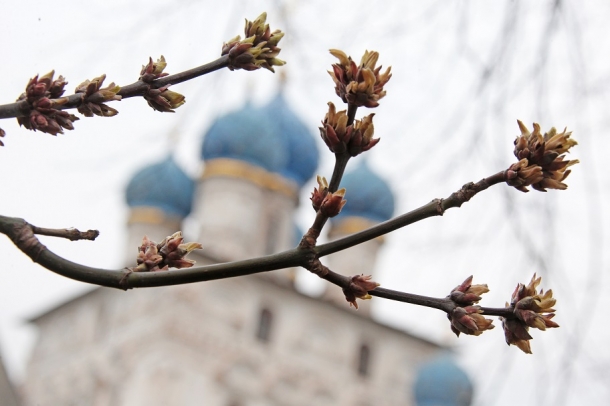 Тёплая погода до +17 с дымкой ожидается в Кузбассе в воскресенье